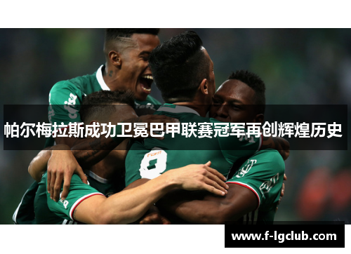 帕尔梅拉斯成功卫冕巴甲联赛冠军再创辉煌历史 