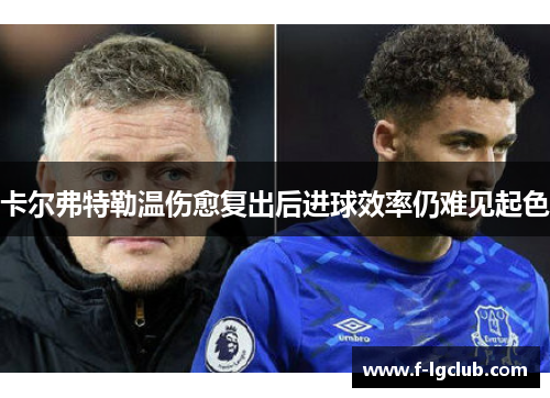 卡尔弗特勒温伤愈复出后进球效率仍难见起色 卡尔弗特勒温伤愈复出后进球效率仍难见起色
