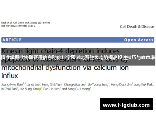 精准掌握欧协联赛程信息助你科学预测比赛胜负走势提高投注技巧与命中率 精准掌握欧协联赛程信息助你科学预测比赛胜负走势提高投注技巧与命中率